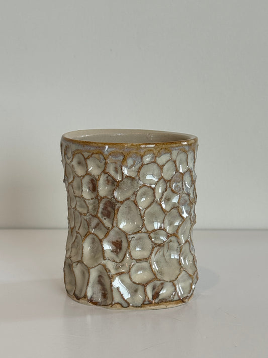bolli