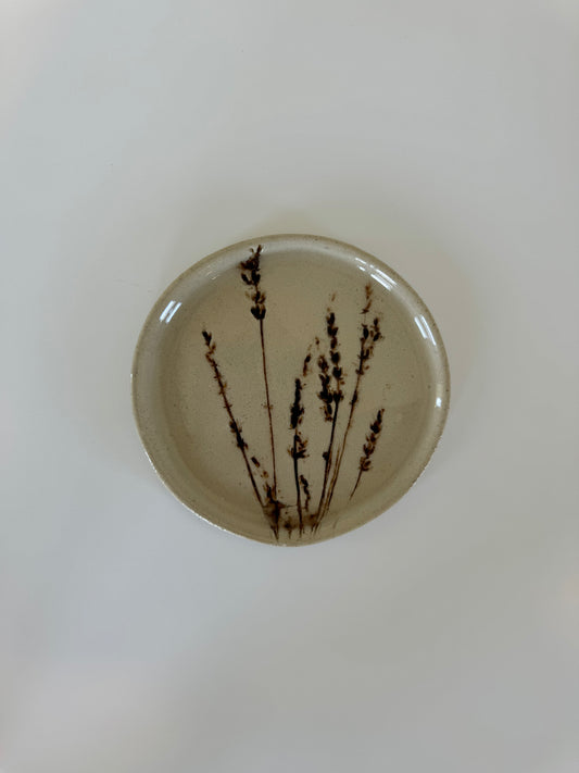 lavender diskur - minni